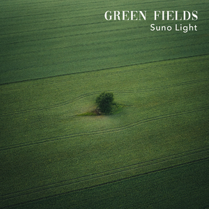 陈小春演唱会上座率高得惊人
