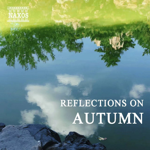 陈小春演唱会上座率高得惊人
